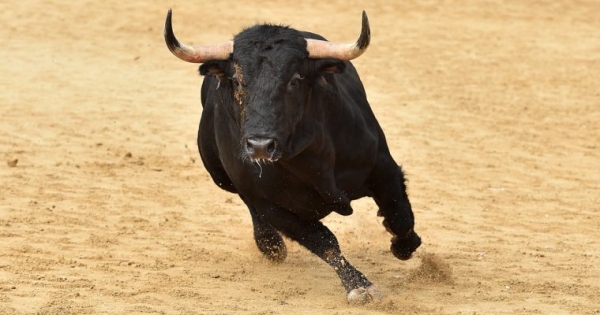 Bitcoin Cash Surges 12% Prior to Hard Fork as Coinbase Announces Support