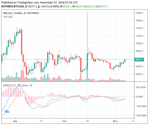 Ethereum Rises to $220 as Tokens Surge; Will SEC Impact the Market?