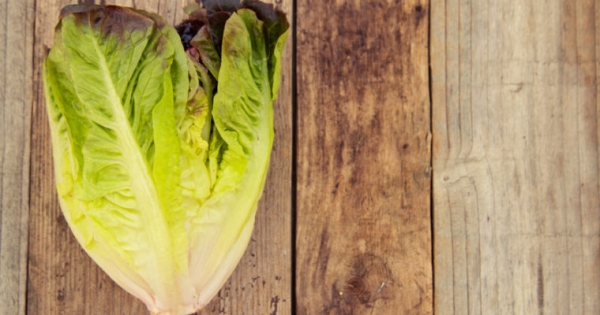 U.S. FDA Eyes Blockchain to Enhance Food Safety in the Wake of E. coli Outbreak