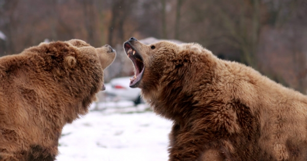 Bitcoin Price: BitMEX CEO Doubles Down on Bear Call, Says BTC Could Fall to $2,000