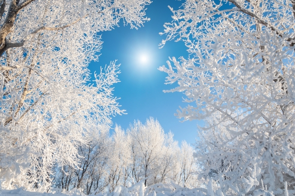 Investor: Bitcoin Price Not Escaping $5,000 For 3 to 6 Months in Crypto Winter