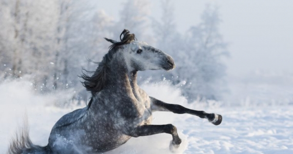 Newsflash: Bitcoin Price Drops to $4,950 as Bears Pummel the Market