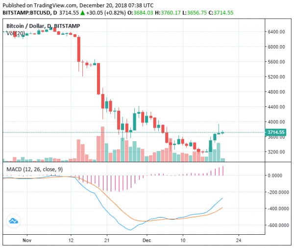 Crypto Market Adds $29 Billion This Week, Can Momentum be Sustained?