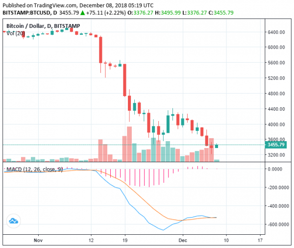 Traders Cautious as Bitcoin Plunges to a New Yearly Low at $3210: Can it Recover?