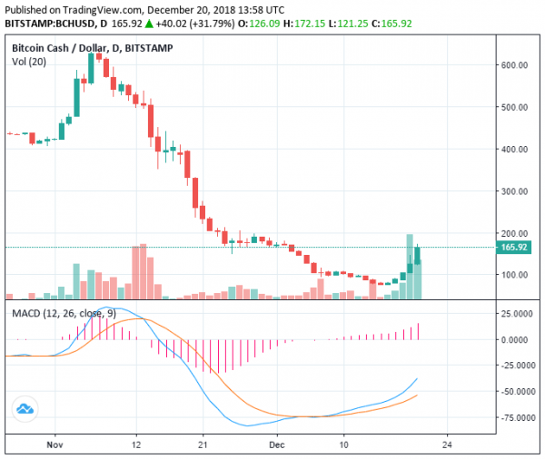 Trader: Why a Rapid Crypto Bull Run Can&rsquo;t be Expected Just Yet