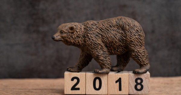 Year of the Bear: Making Sense of the Bitcoin, Stock Market Downturns