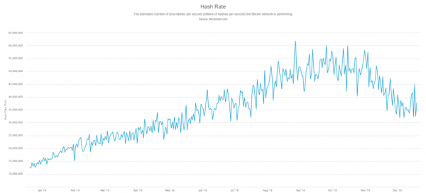 Crypto Miners are Struggling, Can They Survive the Bear Market?