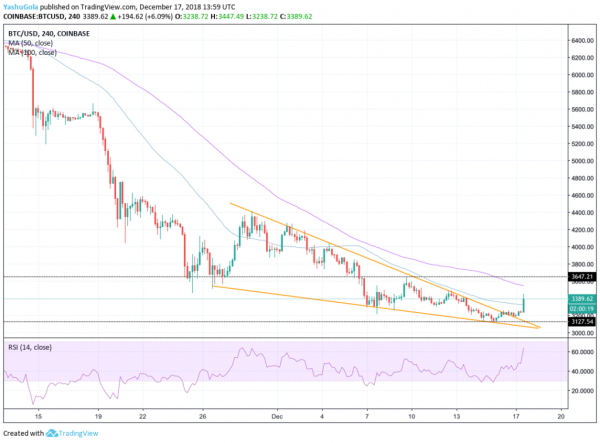 Newsflash: Bitcoin Price Bounces 8.3% in a Much-Needed Bull Action; Will It Sustain?