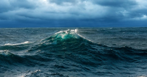 Waves Surges into Top 20 Coins as Wider Crypto Market Stumbles