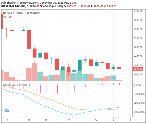 Crypto Market Rebounds But No Major Recovery in Sight: Factors and Trends