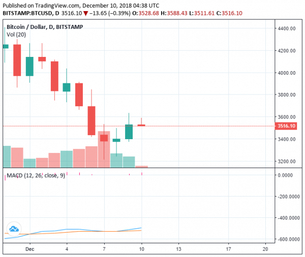 Bitcoin Price Recovers 12% in 72 Hours While Traders Remain Cautious in Short-Term