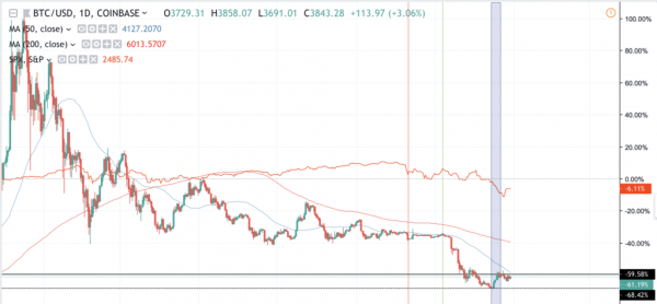Year of the Bear: Making Sense of the Bitcoin, Stock Market Downturns