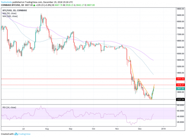 Bitcoin Price Rejects Doji as US Session Takes Charge, Rises 8%