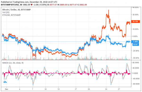 Investor: Bitcoin is Undervalued, Individuals Building on it Will Lead to Recovery