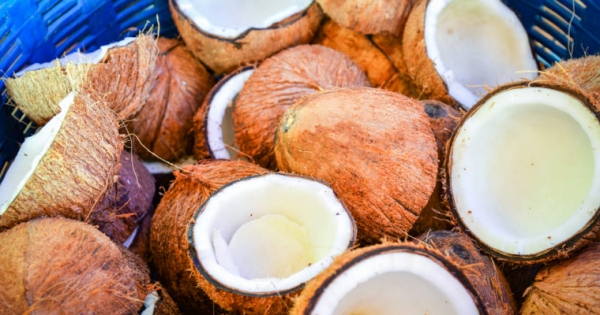 Crypto Giant Bitmain Open Sources KYC Software Tool &lsquo;Coconut&rsquo;