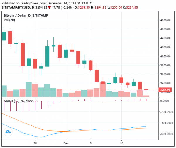Bitcoin Price Drops to New Yearly Low at $3,200: What&rsquo;s Causing the Decline?