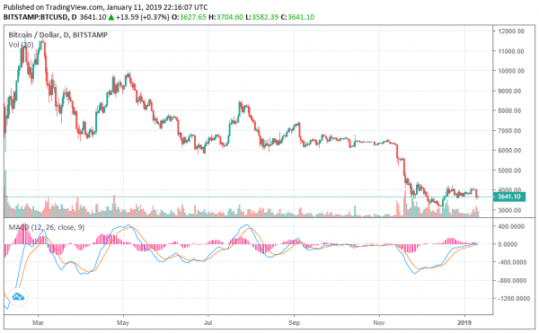 Federal Reserve Blames Altcoins for Dragging Down the Bitcoin Price