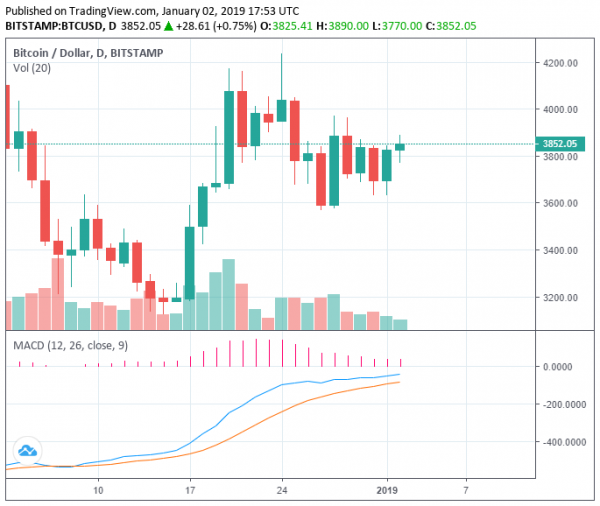 Bitcoin up 7% and Ethereum Surges 19%, Good 2019 Start For Crypto