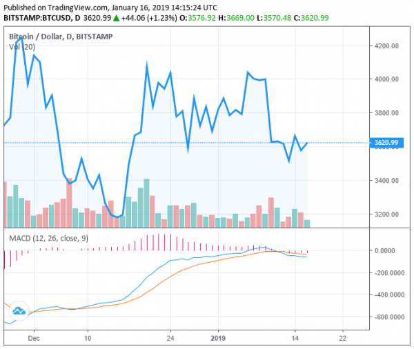 Analyst: 2019 a Year of Accumulation For Bitcoin, Recovery by Year&rsquo;s End