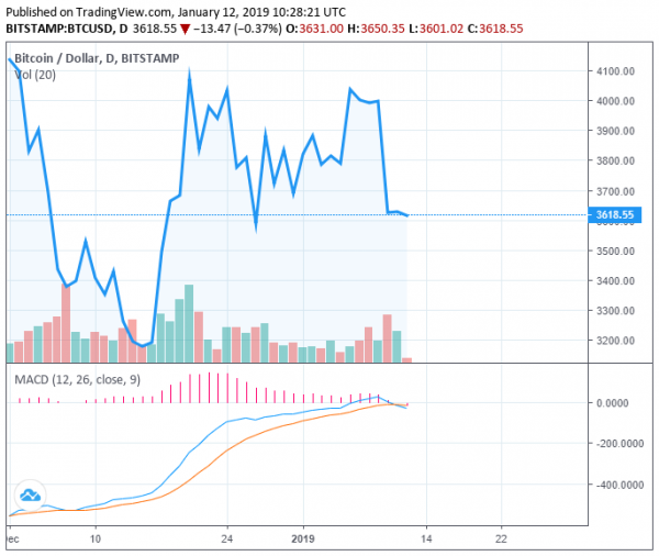 Is Bitcoin Price Heading to Low $3,000? Traders Expect Short-Term Downtrend