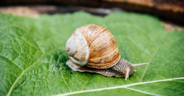 Bitcoin Price Fights for $3,600 as Crypto Market Remains Sluggish