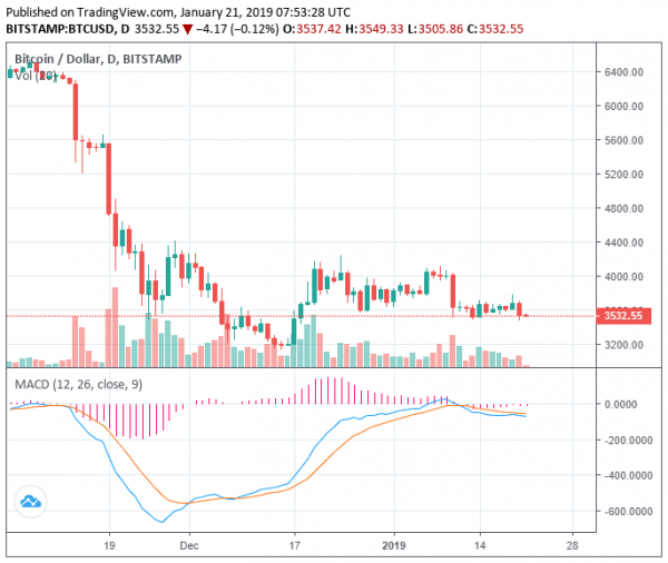 $5 Billion Wiped Out of Crypto: Bitcoin Below $3,500 Could Spell Trouble