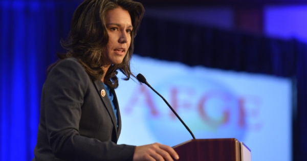 US Presidential Candidate Tulsi Gabbard Bought Crypto at Height of Bull Market