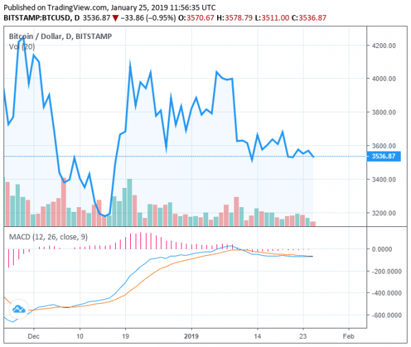 In Exactly 1 Week, Bitcoin Will Have Suffered its Longest Bear Market in History