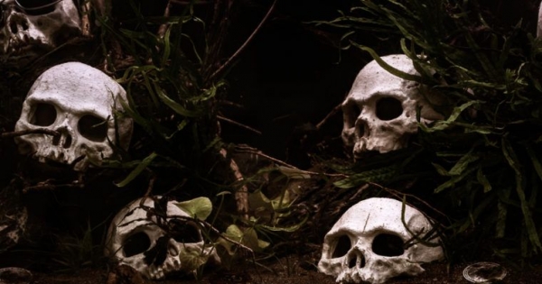The Guardian Publishes Libelous Op-Ed, Falsely Claims Bitcoin&rsquo;s Killing the Planet