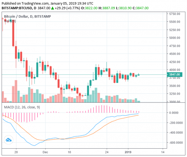 Crypto Market Records Decent Gains But Bitcoin Has to Rise Above $4,500