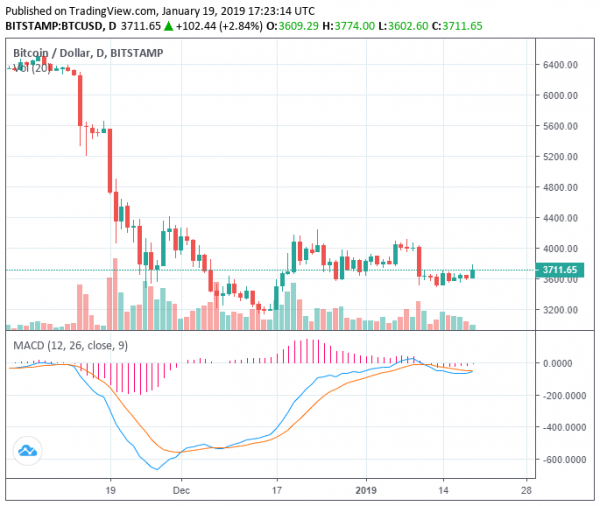 Bullish Move: Crypto Market Adds $5 Billion as Bitcoin Price Surpasses $3,700