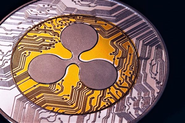 Who Are Those Five New XRP Users Anyway?