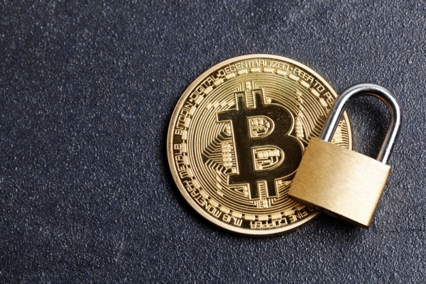 10 Reasons Bitcoin Won&rsquo;t Ever &lsquo;Go to Zero&rsquo; as Davos Bears Claim