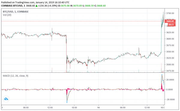 Newsflash: Bitcoin Price Pops to $3,705, Crypto Markets Turn Green