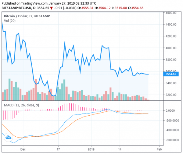 TRON Spikes 134% in 1 Month: Will the Crypto Sector&rsquo;s Strong Performance Push Bitcoin Higher?
