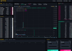 BNB Beats the Market as Binance Released Chain and DEX Testnet