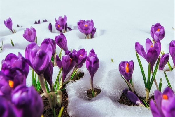 Is Altcoin Season Really Back?