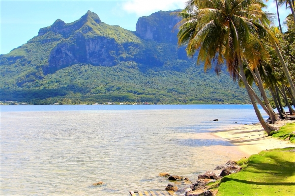 Marshall Islands Ignores IMF Warning and Continues their Coin Project