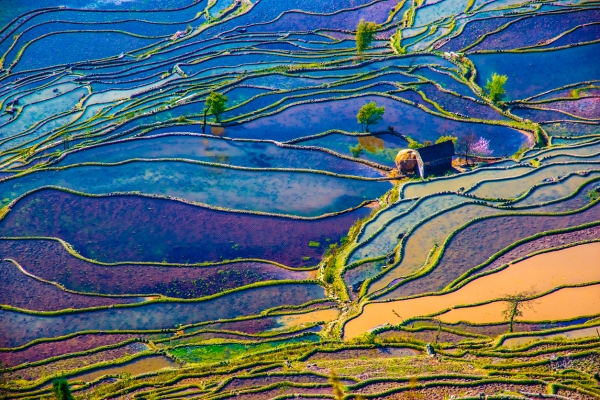China: Blockchain Tourism Initiative Launched, Bitcoin Miners Busted