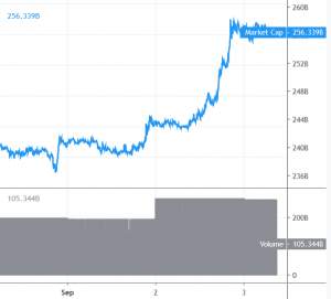 Bitcoin and Altcoins Recover With Few Warning Signs