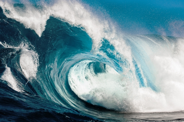 Most Top 10 Coins' Trading Volumes Increase; BTC's Drop Further