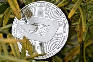 Dash Up 70% in Two Days &ndash; What&rsquo;s Driving the Rally?