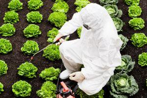 Major Food Safety Firm Neogen to Test a Use Case For Blockchain