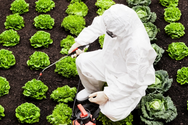 Major Food Safety Firm Neogen to Test a Use Case For Blockchain