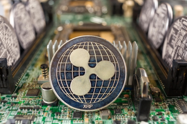 XRP Might Get Neighbours on XPR Ledger + More News