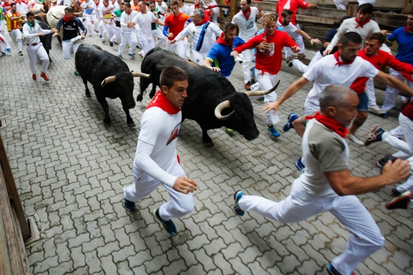 Ledger, Binance fell "Victims" of Bull Run