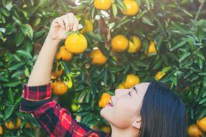 Food Producers Must Use Blockchain to Win Back Consumer Trust - Report