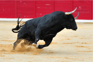 New Crypto Bull Cycle, Ripple&rsquo;s MoneyTap in ATMs + More News