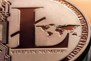 Litecoin an Unlikely Champ as Crypto Hedge Funds Continue to Diversify