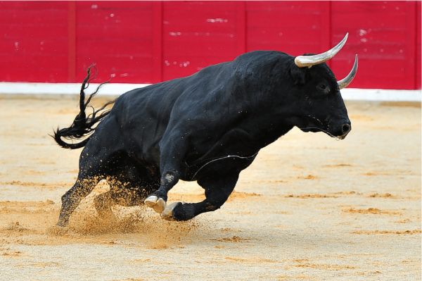 New Crypto Bull Cycle, Ripple&rsquo;s MoneyTap in ATMs + More News